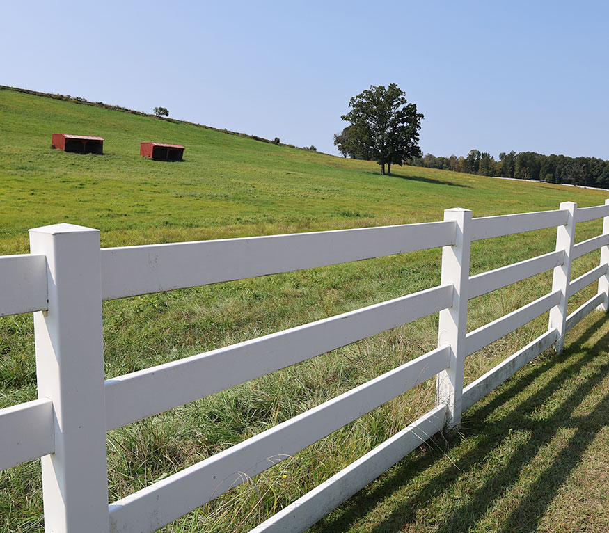 pasture with a white fence