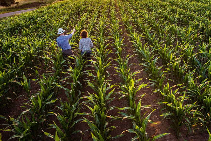 two people standing in a crop field